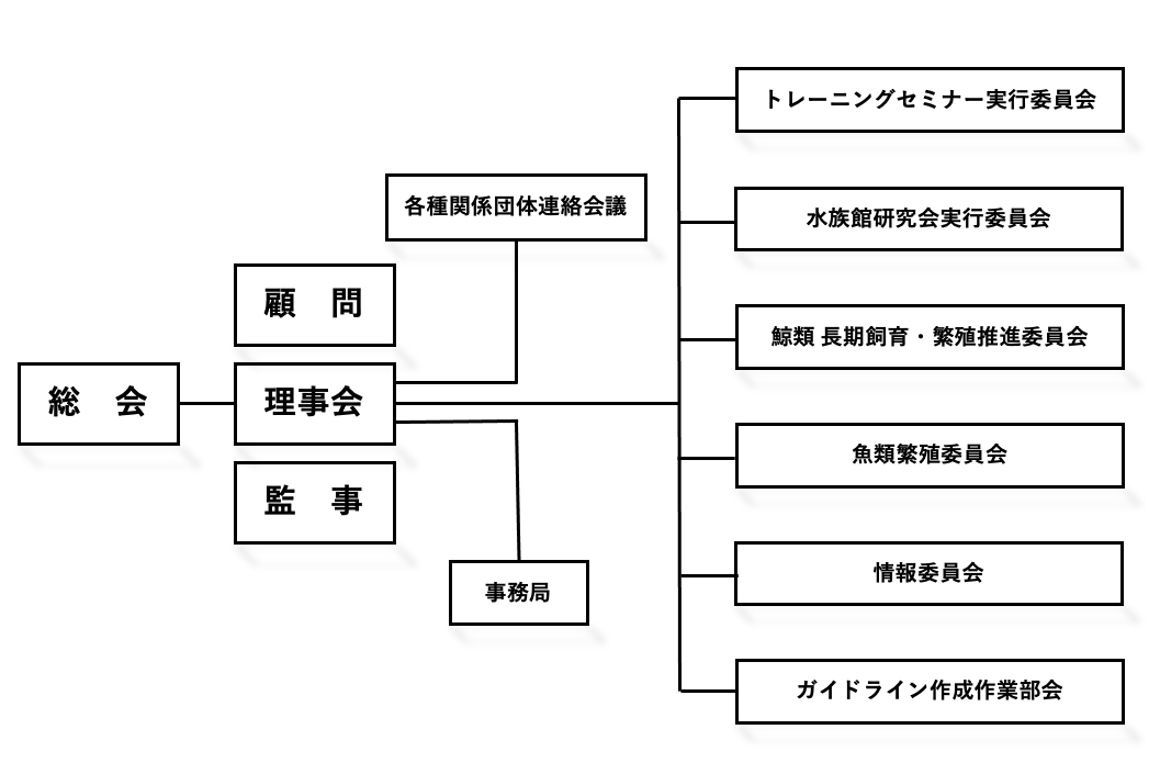 組織図